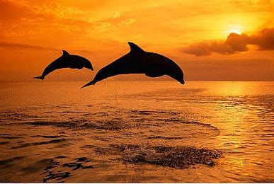 《Splitgate》因服务器需改造 最终发售日期再次延后